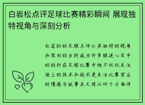 白岩松点评足球比赛精彩瞬间 展现独特视角与深刻分析